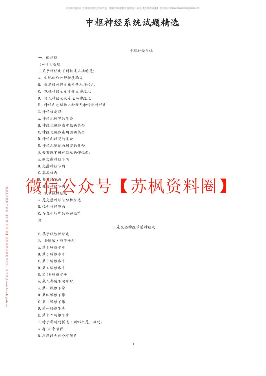 中枢神经系统